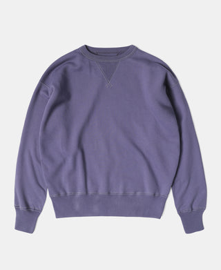 Lot 111 AE Einstein Sweatshirt - Purple